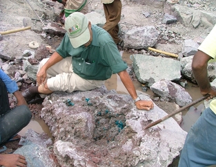 Ultratech Cement bags limestone mining block in Madhya Pradesh